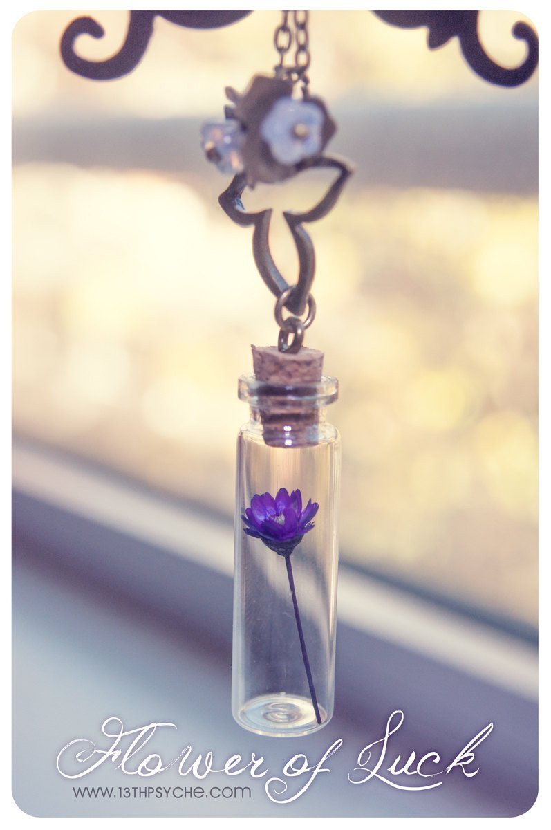 Handmade Tiny dried daisy flower bottle pendant necklace - 13th Psyche