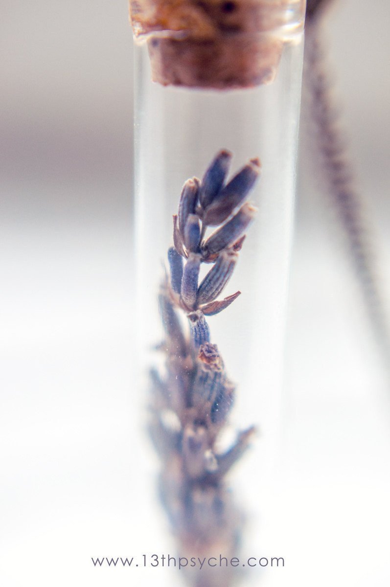Handmade Real dried lavender vial pendant necklace - 13th Psyche